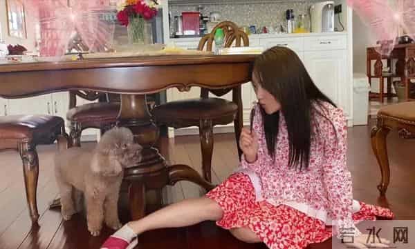 53岁杨钰莹晒出独居生活：一个人，养花种菜，与狗相伴，好自在！