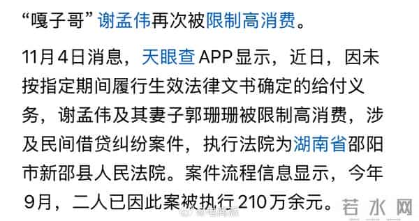 嘎子哥谢孟伟及妻子郭珊珊再次被限制高消费!谢孟伟还能翻身吗
