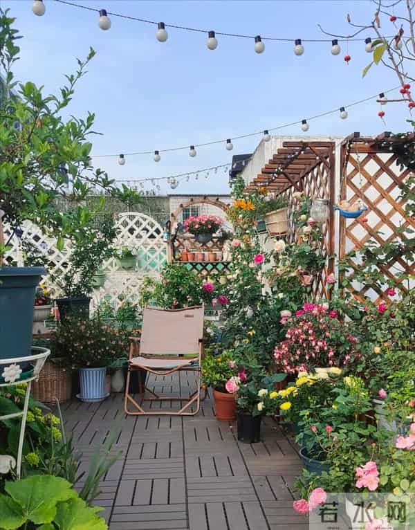 53岁杨钰莹晒出独居生活：一个人，养花种菜，与狗相伴，好自在！