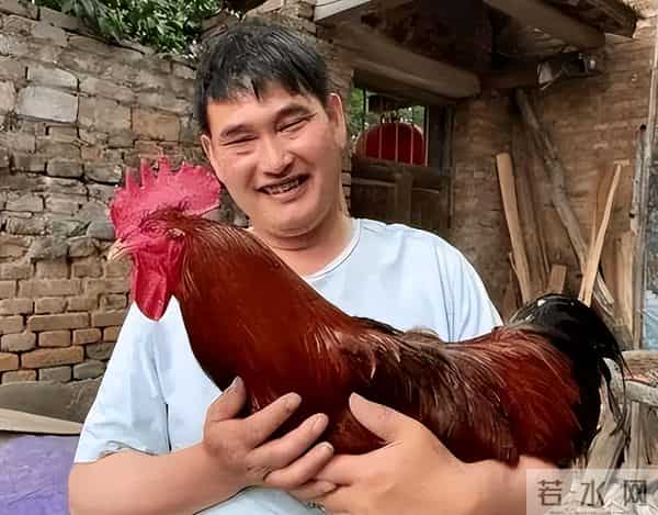 于文华也没想到，大衣哥爆红14年后，如今终于过上了理想生活