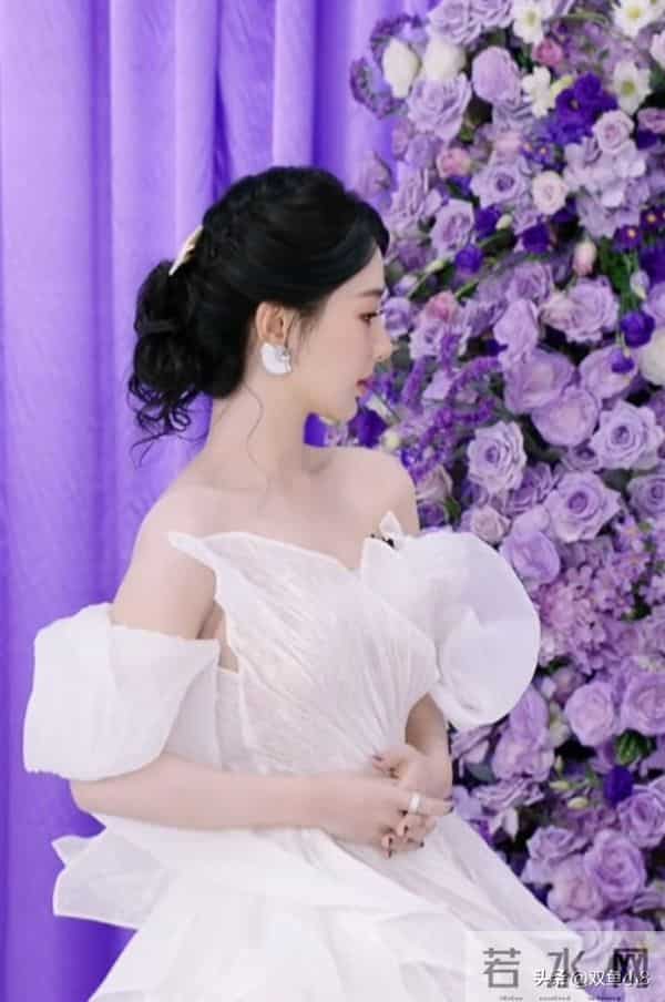 杨紫、李现、白鹿、刘宇宁、黄晓明、王鹤棣、张凌赫、罗云熙等