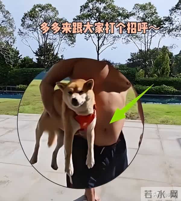 62岁李连杰豪宅游泳，脱光上衣“自证清白”，大腹便便并无刀疤