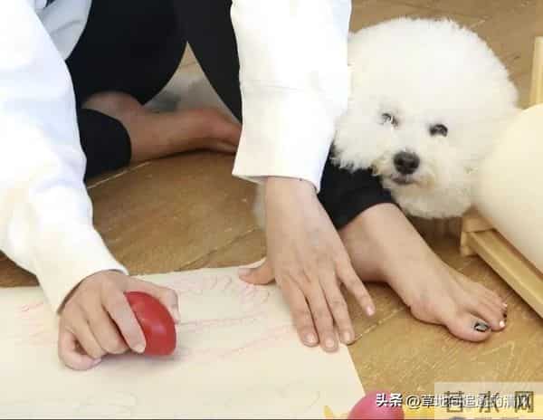 贾静雯的气质和美足，特别喜欢他演的赵敏