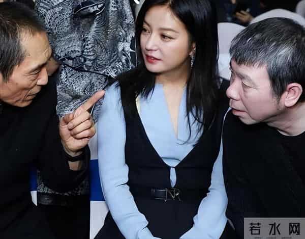 落地的凤凰不如鸡?消失四年后,赵薇终是为自己的“选择”买了单