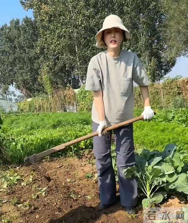 昔日风光已然不再,曾黎回家种地沧桑感尽显,终为自己行为买了单
