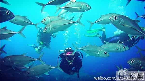 出道28年，拍戏60部：这个“超级反派”，终于被全网“骂红”了