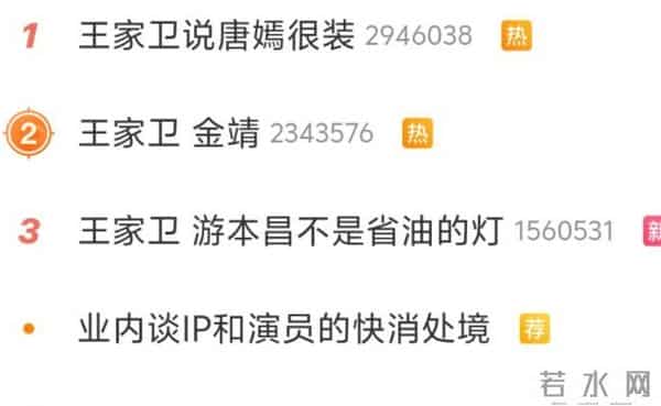 王家卫爆雷录音门：背后故事惊掉下巴，秦雯竟袭警得逞？