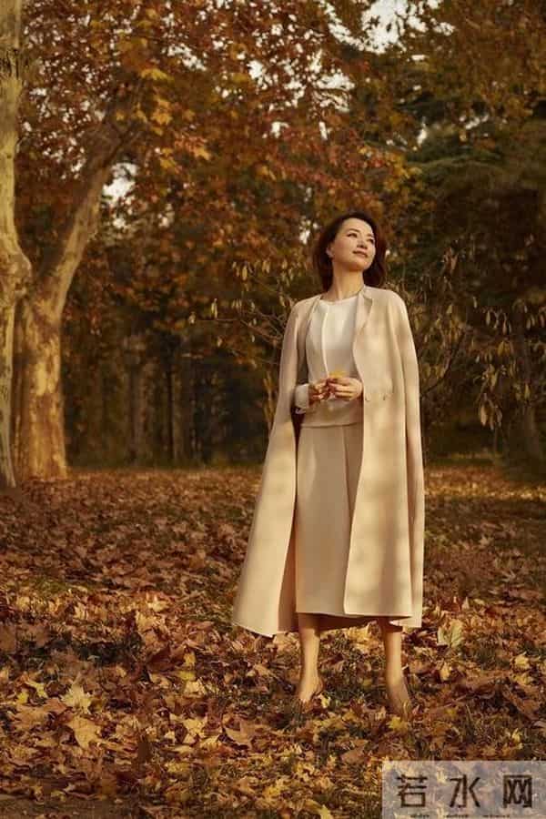 万万没想到，所嫁非人的董卿，居然因一个举动重回大家视野