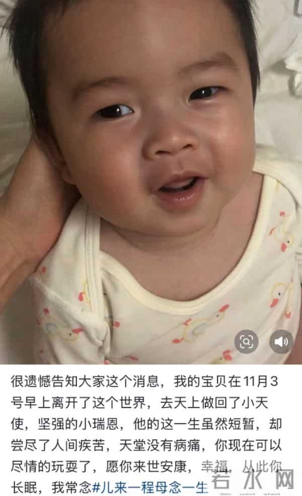 痛心！ 3岁网红去世