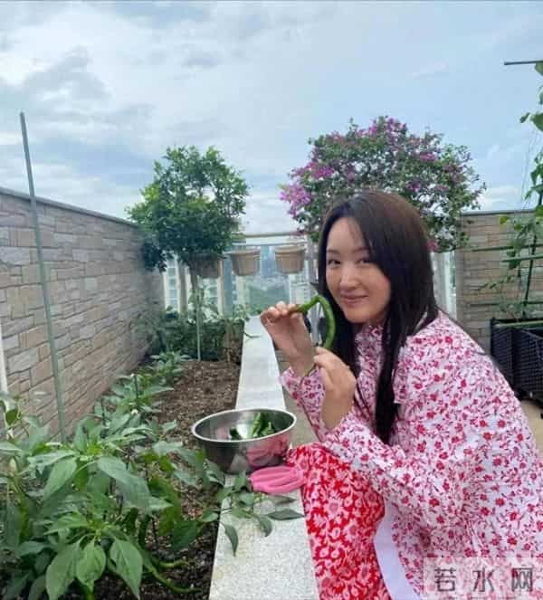 53岁杨钰莹晒出独居生活：一个人，养花种菜，与狗相伴，好自在！