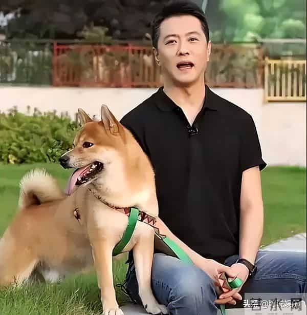 从确诊到去世仅15天,“央视最帅主持人”的遭遇为人们敲响警钟