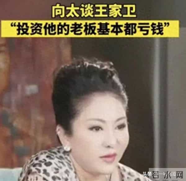 拔出萝卜带出泥!逼疯辛芷蕾,袒护“欺负幼女”的他 王家卫惹众怒