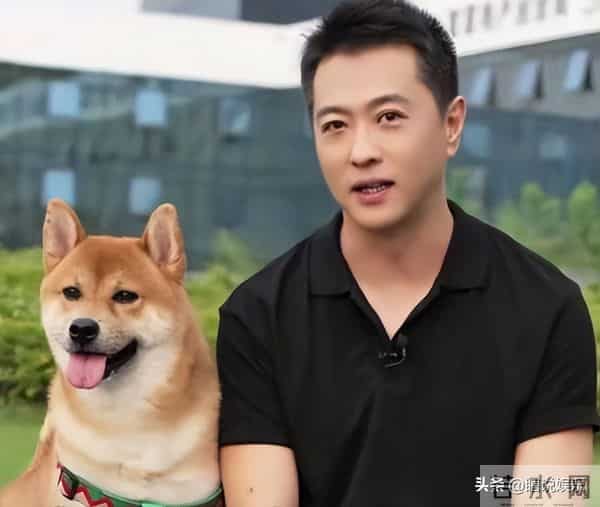 从确诊到去世仅15天,“央视最帅主持人”的遭遇为人们敲响警钟