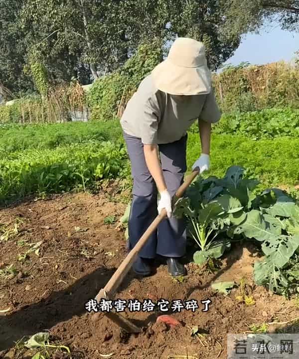 昔日风光已然不再,曾黎回家种地沧桑感尽显,终为自己行为买了单