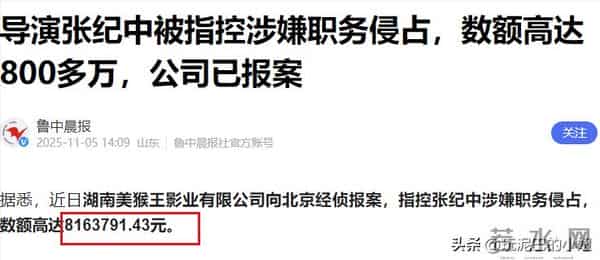 美猴王影业指控张纪中涉嫌职务侵占，数额达800万，张纪中任董事