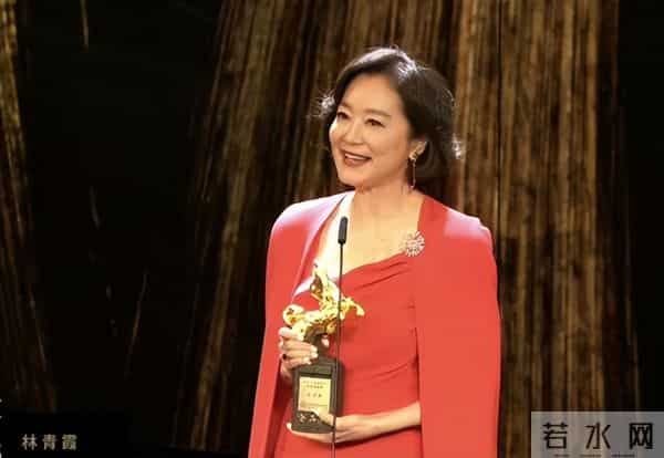 一场生日，戳穿了林青霞的江湖地位，原来陈道明一个字都没说错