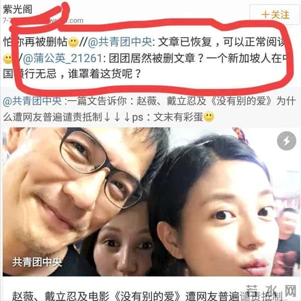 落地的凤凰不如鸡?消失四年后,赵薇终是为自己的“选择”买了单