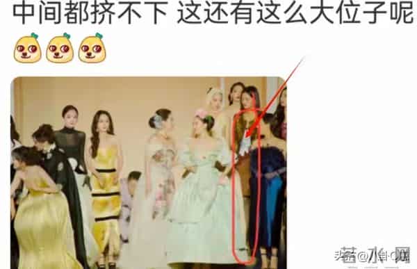 人不红倒是爱蹭！合影抢C位，当众让李晨难堪的她，如今过得怎样