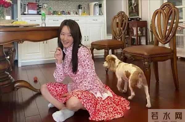 53岁杨钰莹晒出独居生活：一个人，养花种菜，与狗相伴，好自在！