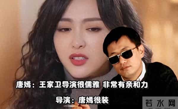 王家卫爆雷录音门：背后故事惊掉下巴，秦雯竟袭警得逞？