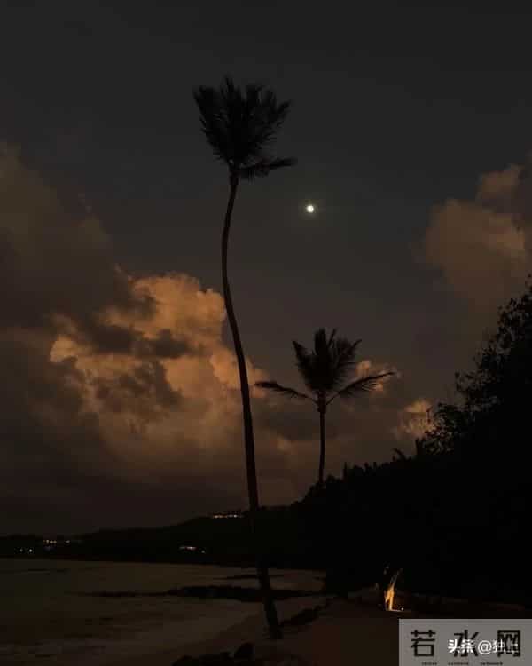 肯豆在私人岛屿庆生，68岁妈妈融入姐妹团，不敢相信还能这么热辣