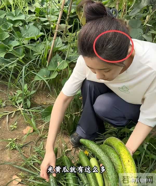 昔日风光已然不再,曾黎回家种地沧桑感尽显,终为自己行为买了单