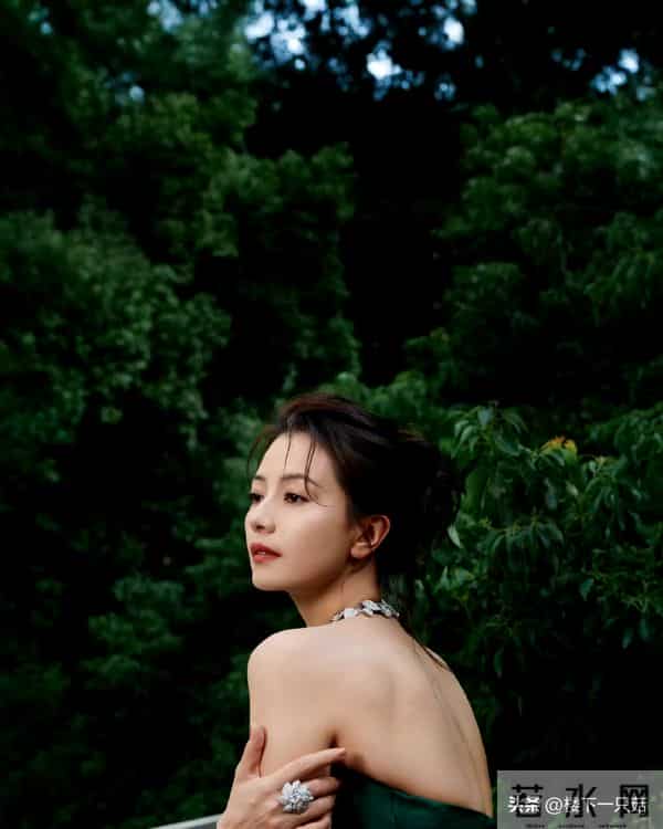 高圆圆初冬活动大秀美背 贴头皮造型优雅 细纹也挡不住的顶级骨相美