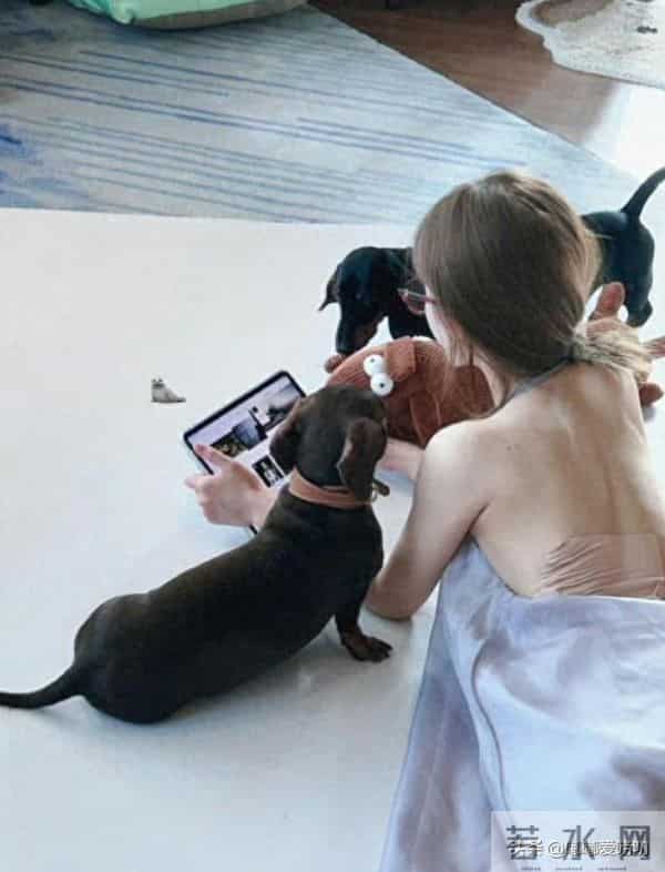 看到赵露思背上那一片膏药贴，真的好让人心疼。