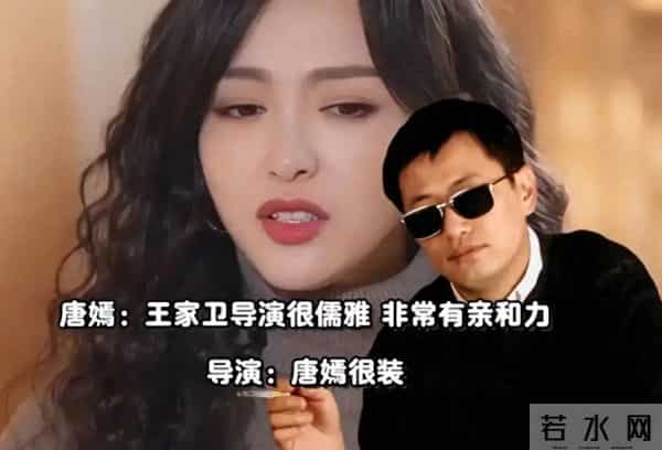 听了王家卫的录音文档，突然怀疑，张国荣的抑郁症不会和他有关吧