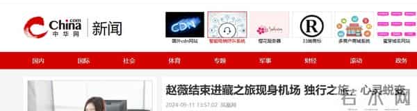 落地的凤凰不如鸡?消失四年后,赵薇终是为自己的“选择”买了单