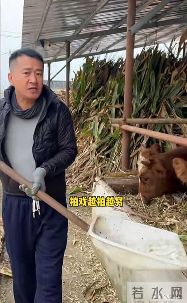 知名演员无戏可拍,在老家拍视频卖炒面,张颂文早已揭开内娱真相