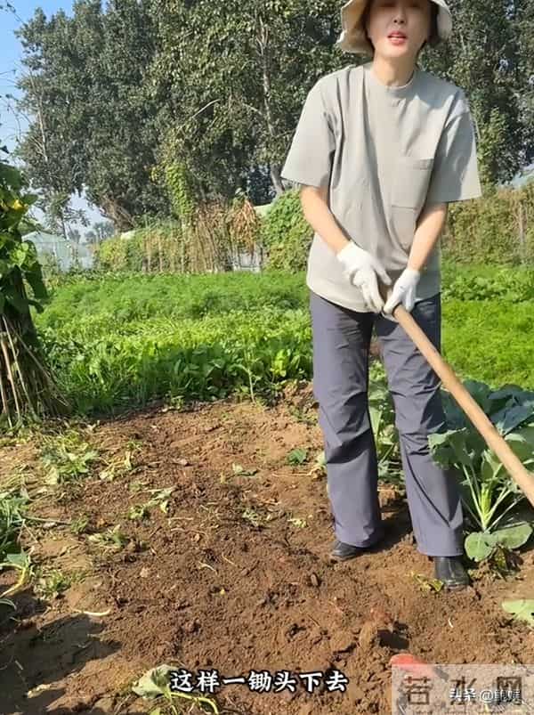 昔日风光已然不再,曾黎回家种地沧桑感尽显,终为自己行为买了单