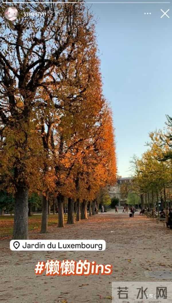 懒懒现状曝光，离开王思聪依旧“快活”，普通人没法过她这种生活