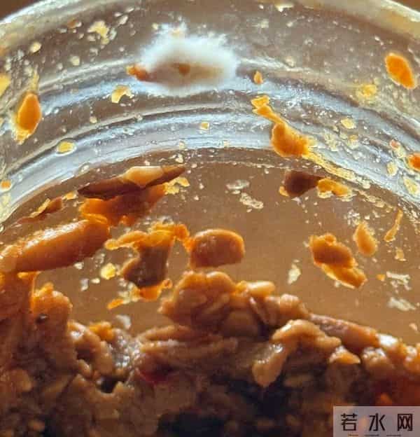 张馨予一人在家吃长毛的蘑菇酱，胃里翻江倒海，老公何捷在校上班