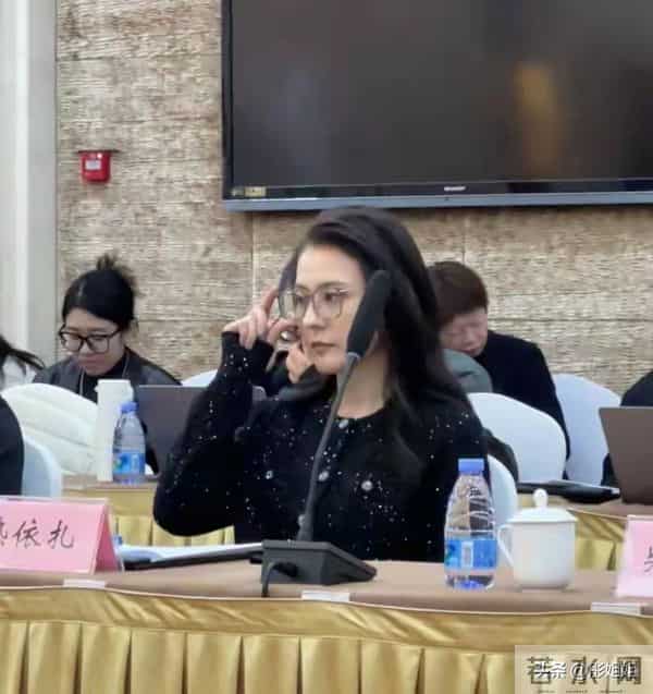 热依扎戴眼镜开会杀疯了！体制内气质拉满 明星脸秒变职场精英范儿