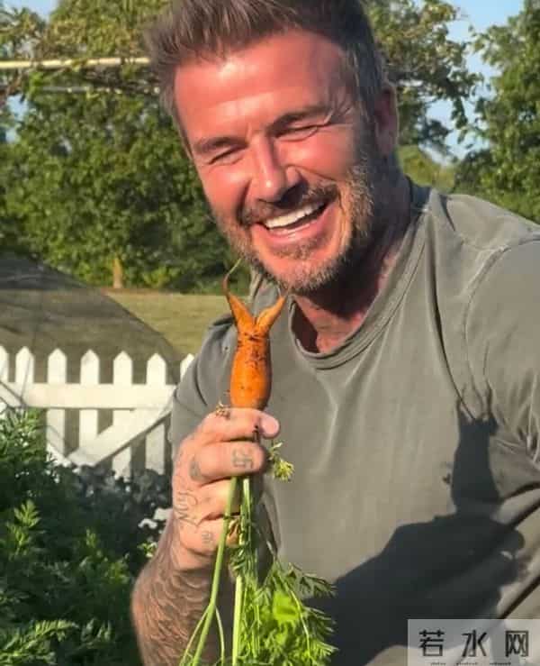 贝克汉姆圆梦封爵!一手牵贝嫂一手牵小七,俩儿子像“保镖”