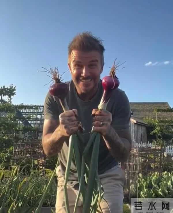 贝克汉姆圆梦封爵!一手牵贝嫂一手牵小七,俩儿子像“保镖”