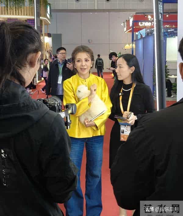 52岁朱迅上海进博会被偶遇 着黄色新中式配盘发 白发显眼 容颜易老