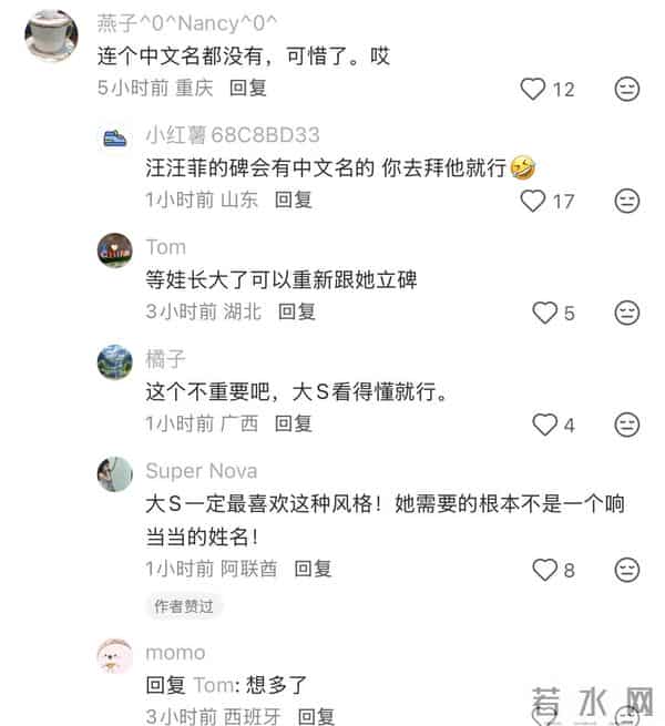 网友实地探访大S墓地！竟然没有照片名字，具俊晔只撰写一句碑文