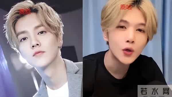 “牛鬼蛇神”现原形,鹿哈官宣领证不到24小时,恶心的一幕出现了