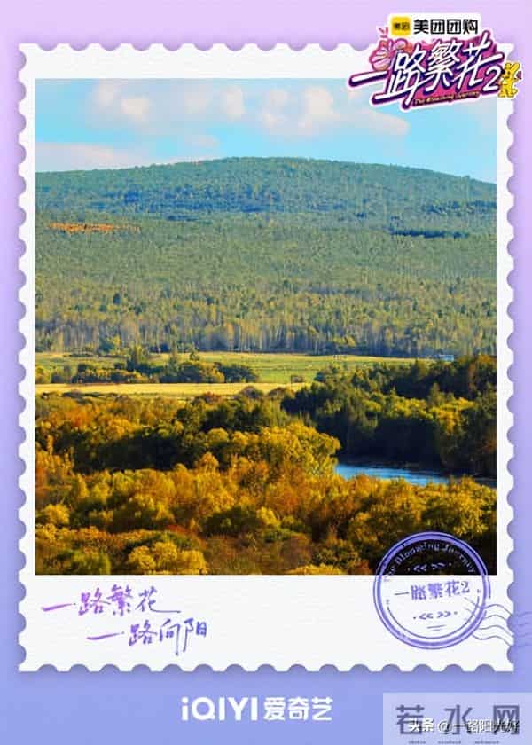 何赛飞 刘嘉玲因王家卫起争执 柯淳站刘嘉玲,何赛飞:你不会有进步