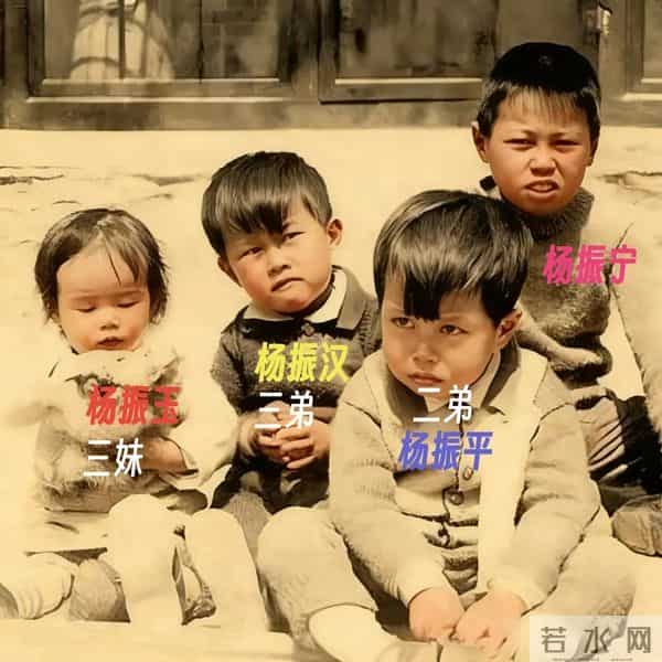 杨武之与妻子吵架,杨振宁保护母亲怒吼父亲,弟弟杨振平称赞哥哥