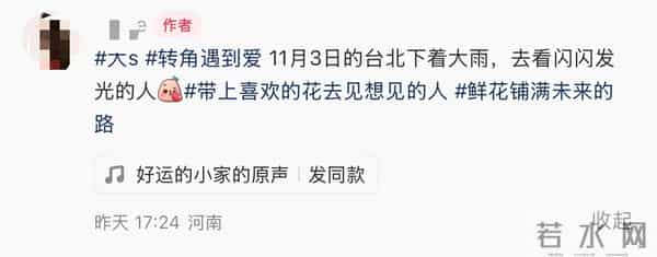 网友实地探访大S墓地！竟然没有照片名字，具俊晔只撰写一句碑文