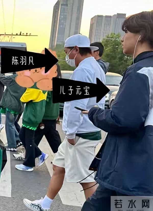 陈羽凡没想到,自己辛苦养大的儿子,竟给白百何二婚老公做了嫁衣