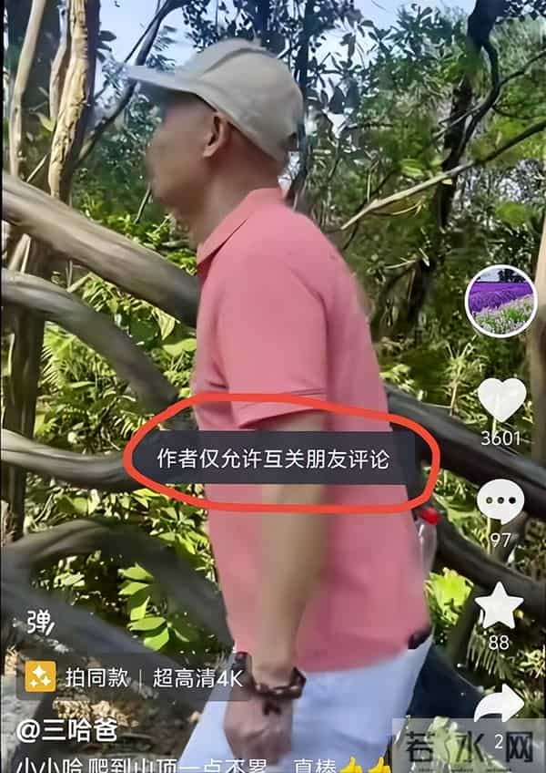 瑾汐带火全家,却被二哈说我不配宠妹,流量账算碎了最后一点情分