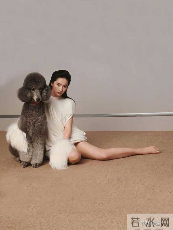 刘亦菲的美是红玫瑰与白月光的和解