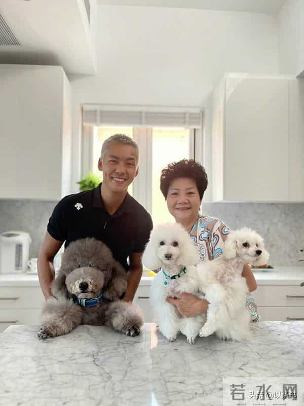 陈伟霆的妈妈是她,富家千金喜爱养狗面相慈祥,抚养仨孩子长大