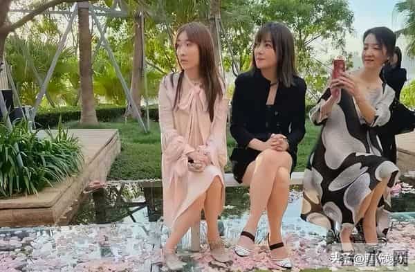 一眨眼没想到曾经火遍大江南北的“小燕子”竟然已经被封杀4年了