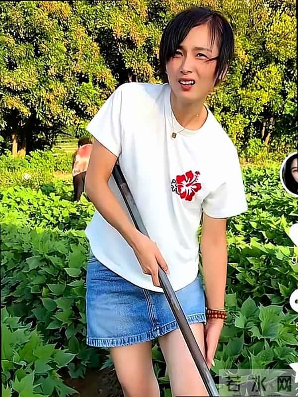 瑾汐带火全家,却被二哈说我不配宠妹,流量账算碎了最后一点情分