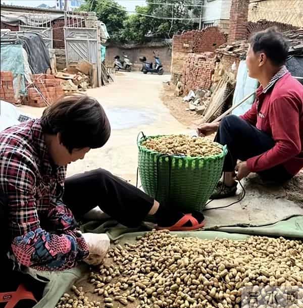 瑾汐带火全家,却被二哈说我不配宠妹,流量账算碎了最后一点情分